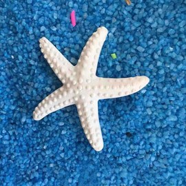 BWESOO Resin Ocean Beach Starfish Natural Seashell Starfish Ornaments for Wedding Decor Beach Theme Party Home DIY Craft Fish Tank Holiday Decoration Vase Fillers