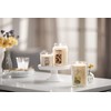 Yankee Candle French Vanilla Scented Classic 22oz Large Jar Single