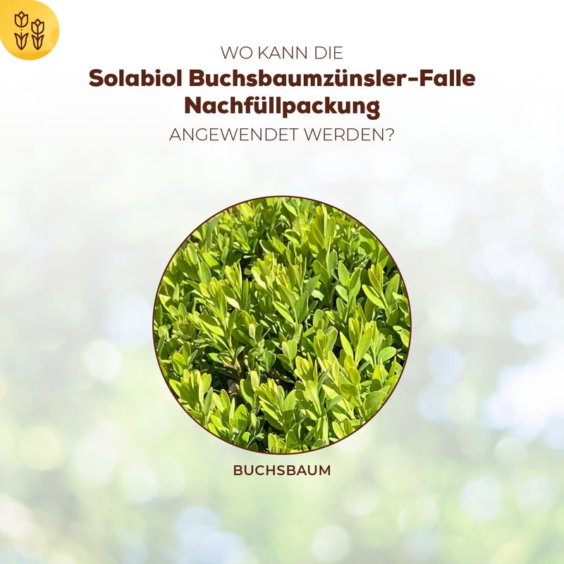 Solabiol Boxwood Moth Trap Refill Pack for Filling Solabiol Boxwood