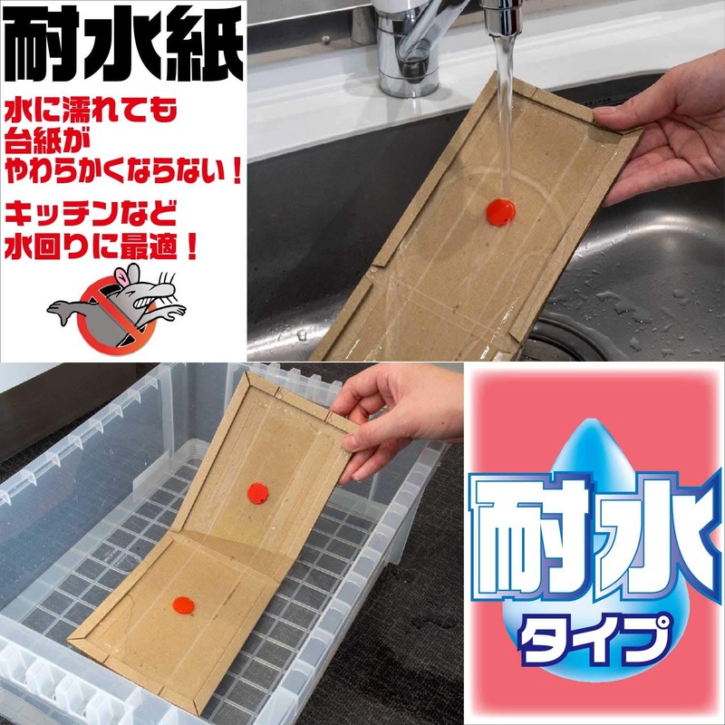Anchor Disinfection Water Resistant tyu-kurinminisukima For 5 Piece