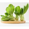Baby Pak Choi Seeds - Delicious Chinese Vegetable