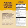 Ultima Replenisher Electrolyte Powder New Formula
