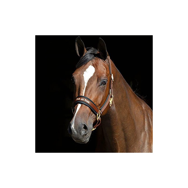 Back on Track Welltex® Werano Headcollar (Full, Brown)
