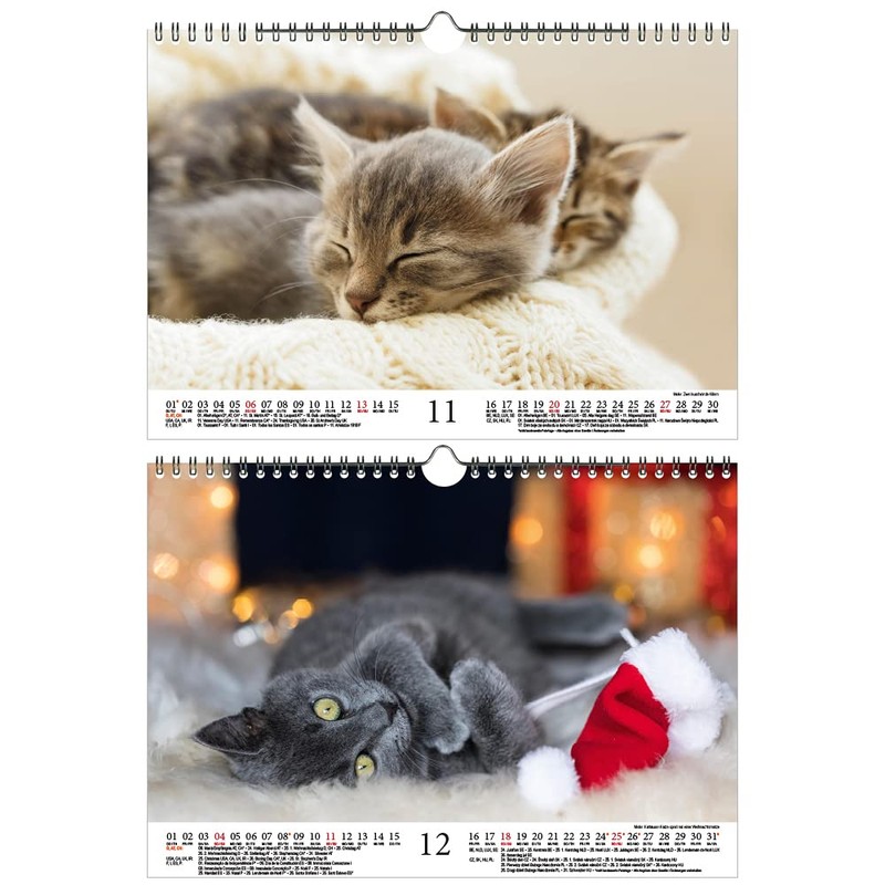 Katzenzauber DIN A4 Calendar for 2022 Cats and Cats Seelenzauber