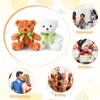 HyDren 24 Pcs Bear Bulk Plush Stuffed Animals 10 Inch