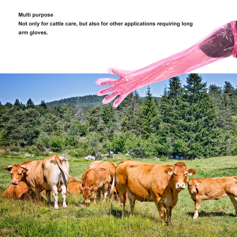 100Pcs Long Arm Disposable Plastic Gloves Safe Reliable Multipurpose Veterinary
