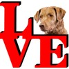 Chesapeake Bay Retriever Love Park Cute Dog Fridge Refrigerator Car
