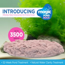 Magic Pond Rocks, Fish Tank Rocks for Enhancing Water Clarity with Your Regular Cleaning Routine, Fish Friendly Aquarium Rocks, All Natural Aquarium Decor, Large - 1500-3500 Gallons