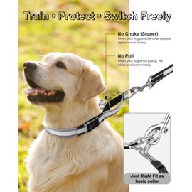 PZRLit Light-Up Martingale Collar for Dogs Multi-Color, No Pull Adjustable Collars with Buckle, LED Reflective Choke Collar, Rechargeable Lighted Training Dog Collars for Small Medium Large Dogs-Small