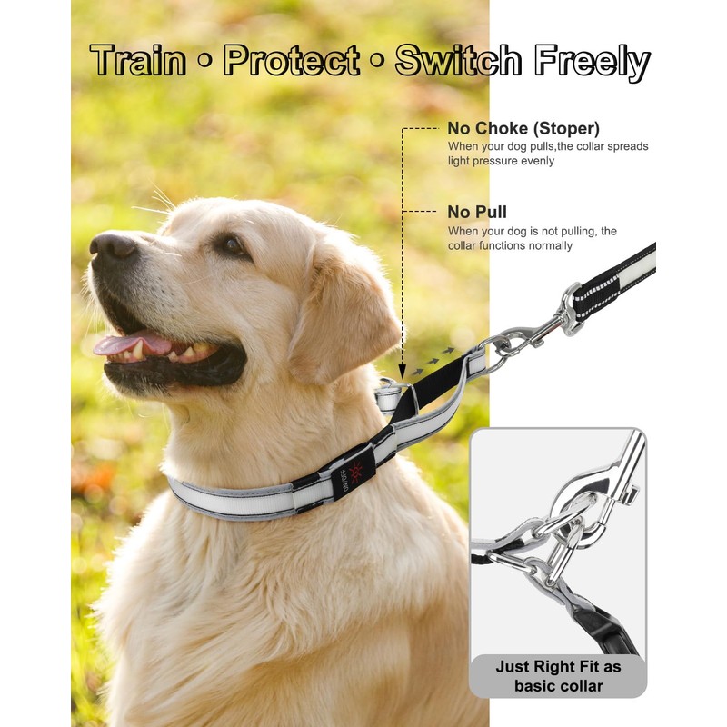 PZRLit Light-Up Martingale Collar for Dogs Multi-Color, No Pull Adjustable