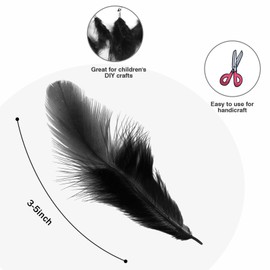 500pcs-Black Rooster Feathers 3-5inch Bulk Feathers for Crafts DIY Dream Catcher Supplies（500pcs）