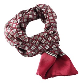 Long Charmeuse Satin Silk Scarf for Men, red