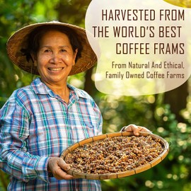 La Republica Organic Instant Coffee 2 Pack (35 Servings), Medium Roast, Toasted Caramel Notes, Fair Trade Arabica, USA Made (70 Servings)