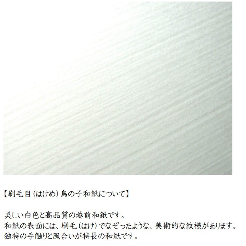 Washi Kinsei Okuruyo Bag Brush Torinoko (Kotted Knot, 5 Sheets)