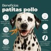 Premios Patitas de Pollo 12pz - Libre de Hormonas Premium