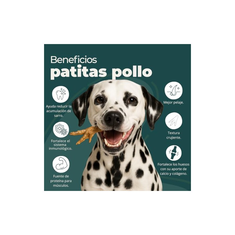 Premios Patitas de Pollo 12pz - Libre de Hormonas Premium
