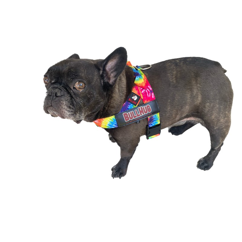 BULLHUG Harness – Made for Larger Chested Dogs Like English