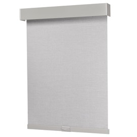 Dailyshades Blackout Roller Shades, Cordless Blinds with Valance, Window Shades for Home, Door Blinds, Thermal Insulated, Double-Sided Linen Day and Night Window Shades (36" W x 72" H, Light Gray)