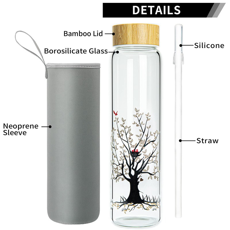 Ferexer 32 oz Glass Water Bottle with Straw, Borosilicate Glass