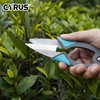 CYRUS Garden Pruner Herb Scissors,Large Size Handle and Sharp Blades,