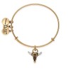 Alex and Ani Spirited Skull Bangle Bracelet, Rafealian Gold, Expandable
