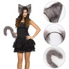 Epokus Plush Cat Ears and Tail Set, Cat Fox Fancy