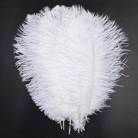 5 plumas de avestruz de 40 a 45 cm para centros de mesa de boda, fiesta, Halloween, Navidad, decoración del hogar, color blanco