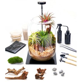Terrarium Kit with Grow Light – 24-Piece DIY Glass Terrarium Set with Tools, Moss, Driftwood, Soil & Pebbles – Mini Gardening Kit for Air Plants, Succulents & Indoor Desk Decoration Gift