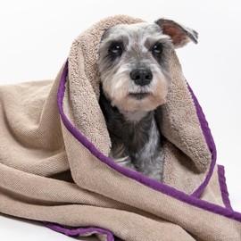 PETCODE PAWS Fresh Tech Towel & Blanket - Stylish Sand Beige with Berry Purple Accents - Plush Dog Grooming Comfort - Ideal Pet Blanket for Couch, Bed & Outdoor Adventures - Large 50" x 30" Size