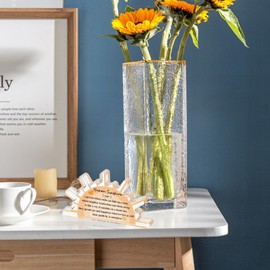 Human Sunshine Desk Sign | Motivational Decor Decorative Signs - Collectible Figurines Appreciation Sign, Human Sunshine Inspirational Quotes, Acrylic Desk Decor