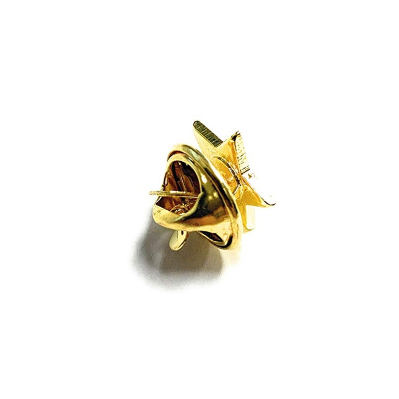1/2 Inch Gold Star Lapel Pin (5 Piece Pack)