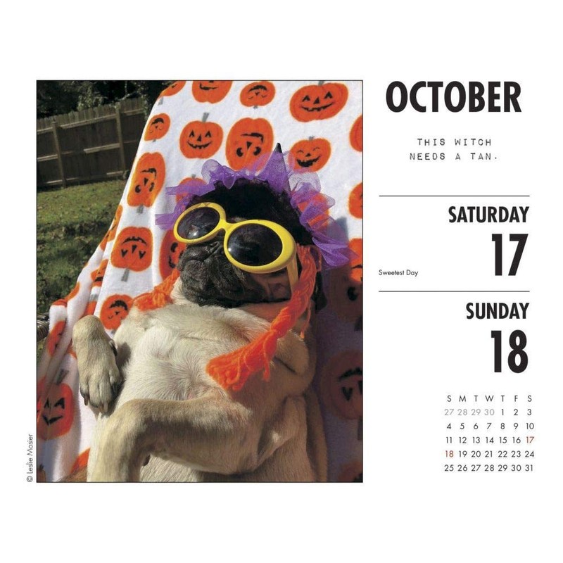 Doug the Pug 2020 Calendar