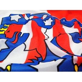 FLAGLY Premium Thuringia Flag 100 x 150 cm, 115 g/m² Fabric Weight, Printed, Robust and Weather-Resistant Gloss Polyester with Eyelets (100 x 150 cm, Thuringia)