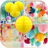 Ruidee 8 Pieces Paper Honeycomb Balls Tissue Paper Flower Balls