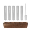 Plant Propagation Station, Plant Propagation Tubes Minimalist Look for Desktop