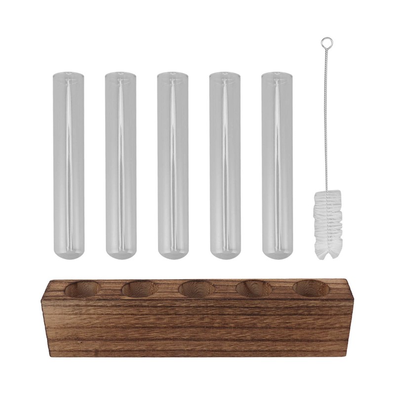 Plant Propagation Station, Plant Propagation Tubes Minimalist Look for Desktop