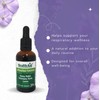 HealthAid Bronchial Formula, 1.7 oz, Herbal Respiratory Support with Hyssop,