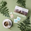 Prince of Peace Organic Oolong Tea - 100 Tea Bags