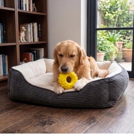 PETSMORE  Dona Chillona para Perros Grandes  Juguete Mordedor de Goma No Tóxica  Diseño Resistente y Seguro  Textura con Bordes Suaves  Ideal para... 