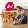 Kibbles 'n Bits Bistro Dry Dog Food, Oven Roasted Beef,