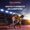 Glucosamina Gel, 125 ml con Artiglio del diavolo, non unge,