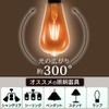 【節電対策】 アイリスオーヤマ LED電球 フィラメント 口金直径26mm 60W形相当 キャンドル色 全配光タイプ ST形 レトロ風琥珀調ガラス製