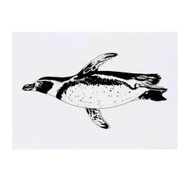 'Swimming African Penguin' Temporary Tattoo - Water Resistant, Skin-Safe, Non-Toxic Transfer (TO00085247)