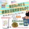 森のこかげ キャンドルブッシュ (2g×70p 内容量変更) (残留農薬検査済) ゴールデンキャンドル ハナセンナ ハーブTB