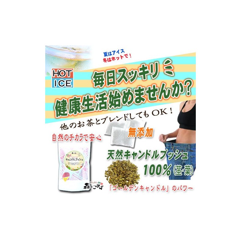 森のこかげ キャンドルブッシュ (2g×70p 内容量変更) (残留農薬検査済) ゴールデンキャンドル ハナセンナ ハーブTB