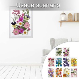 Flor prensada seca para moldes de resina, hojas de flores secas naturales para suministros de arte, manualidades, álbumes de recortes, joyería, fabricación de velas