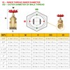1/2" NPT Brass Gate Valve, Heavy Duty Female x Female