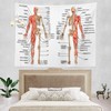 Batmerry Skeleton Science Tapestry, Body Human Skeleton Anatomy Backbone Biology