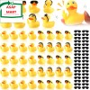 Fingertip WD 50 Pcs Rubber Ducks with Sunglasses,Squ