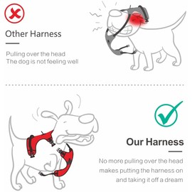 PoyPet No Pull Dog Harness, Adjustable Pet Harnesses with 2 Leash Clips, No Choke Reflective Oxford Outdoor Vest, Easy Control Padded Handle for Small Medium Large Dogs (Black,M)